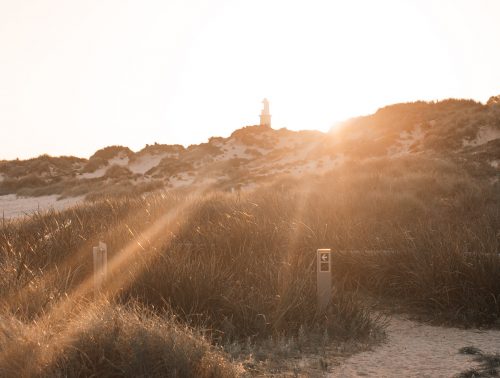 A walking trail through bushland on Rottnest Island