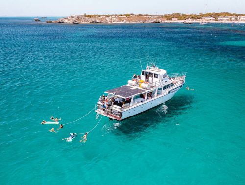 A boat stopped on the water of Rottnest Island whilst people swim and have fun on the boat