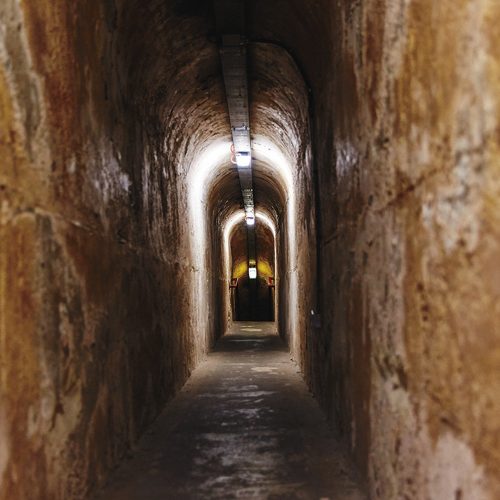 Oliver Hill Guns & Tunnel Tour - Samphire Rottnest - Rottnest Activities