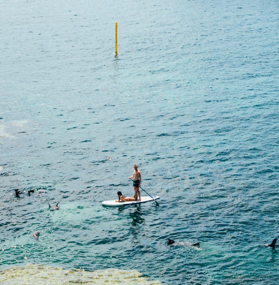 A man paddle boarding at Rottnest Island.