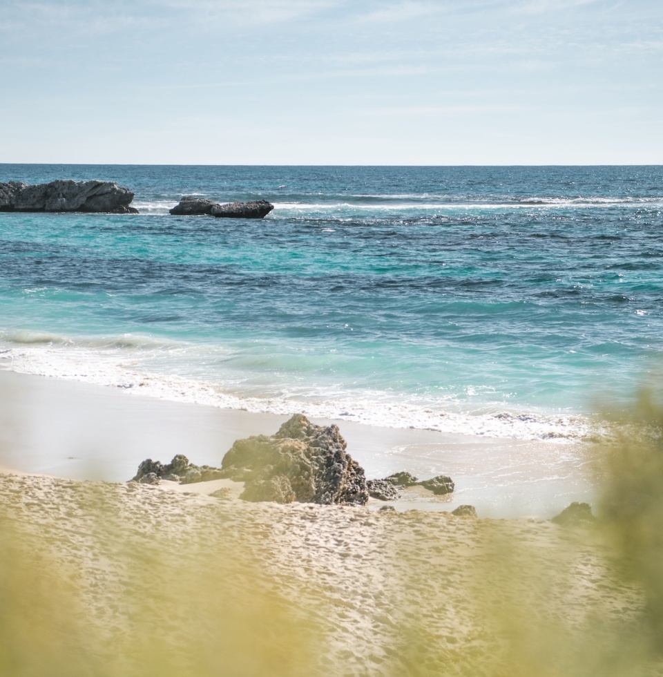 view of little armstrong bay beach andocean through the surrounding shrubs