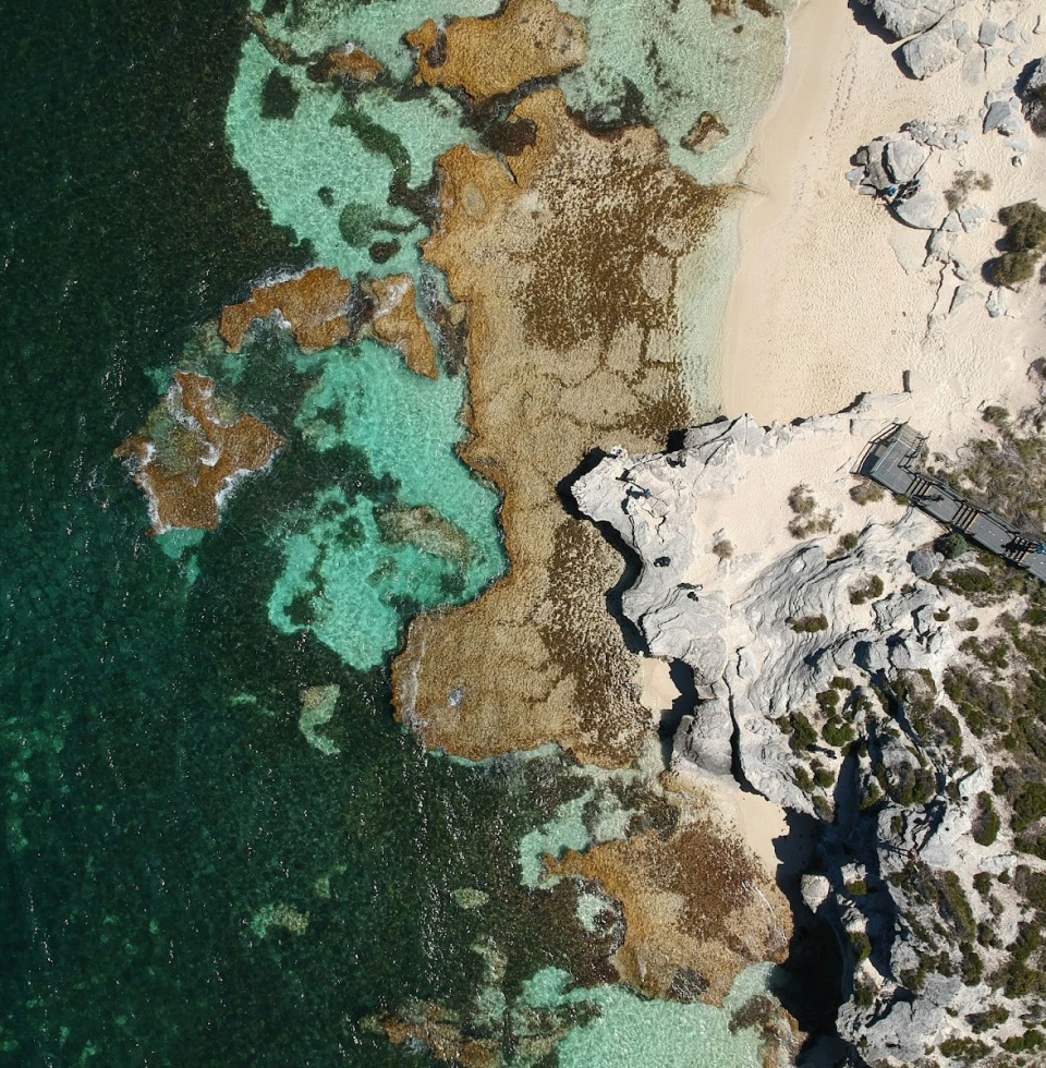 discover the rugged coastline, azure water & corals found on Rottnest Beaches