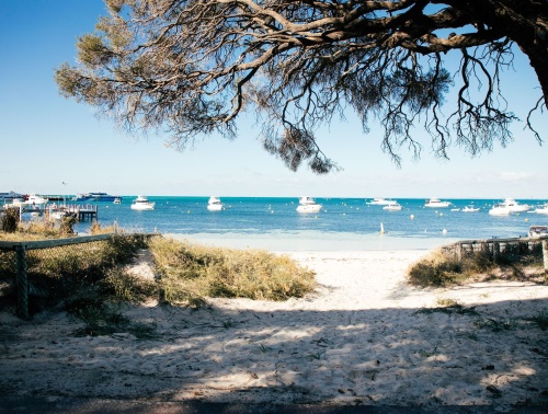 Trees fring the walkway down to Thomson Bay, with blue ocean water and yachts in the distance